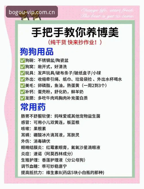 博狗真人官网安全吗？从注册到投注的实用指南