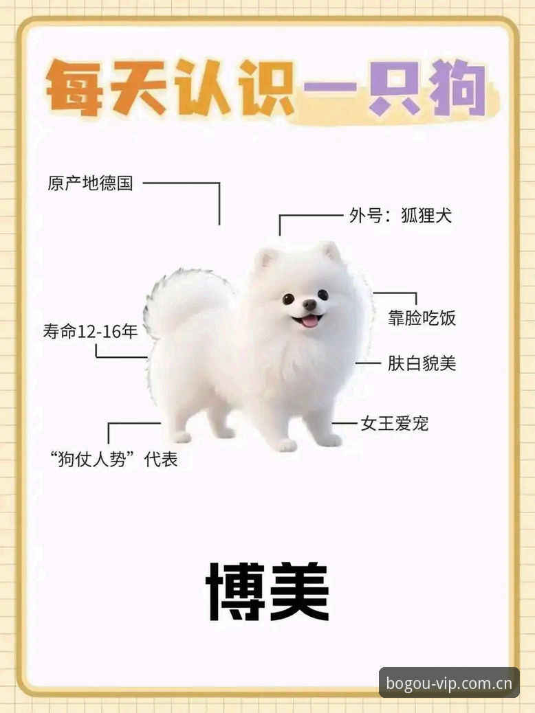 揭秘博狗手机版你不知道的事：从数据安全到赛事覆盖的全维度解析