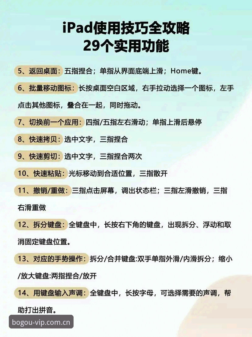 博狗网平台新手入门指南：真人APP推荐与完整使用教程