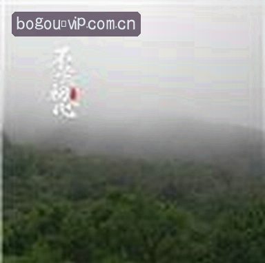 李薇