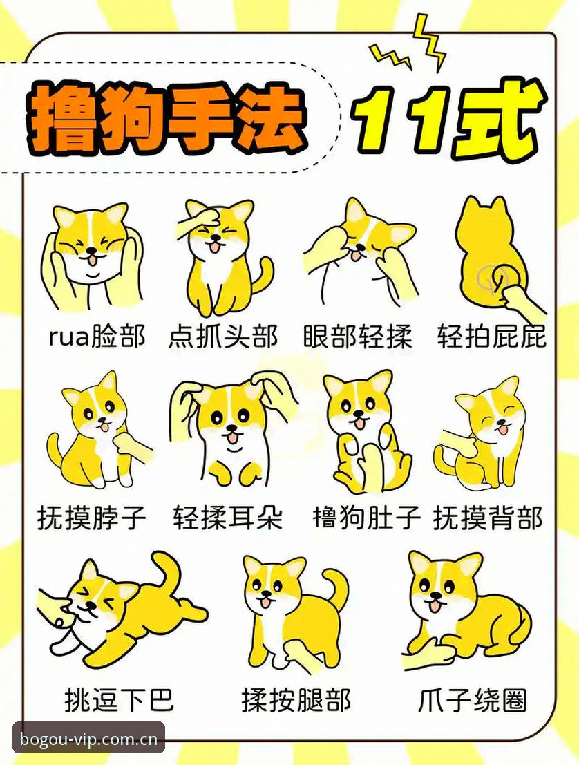 博狗网 博狗网平台使用体验:5个让新手快速上手的实用技巧