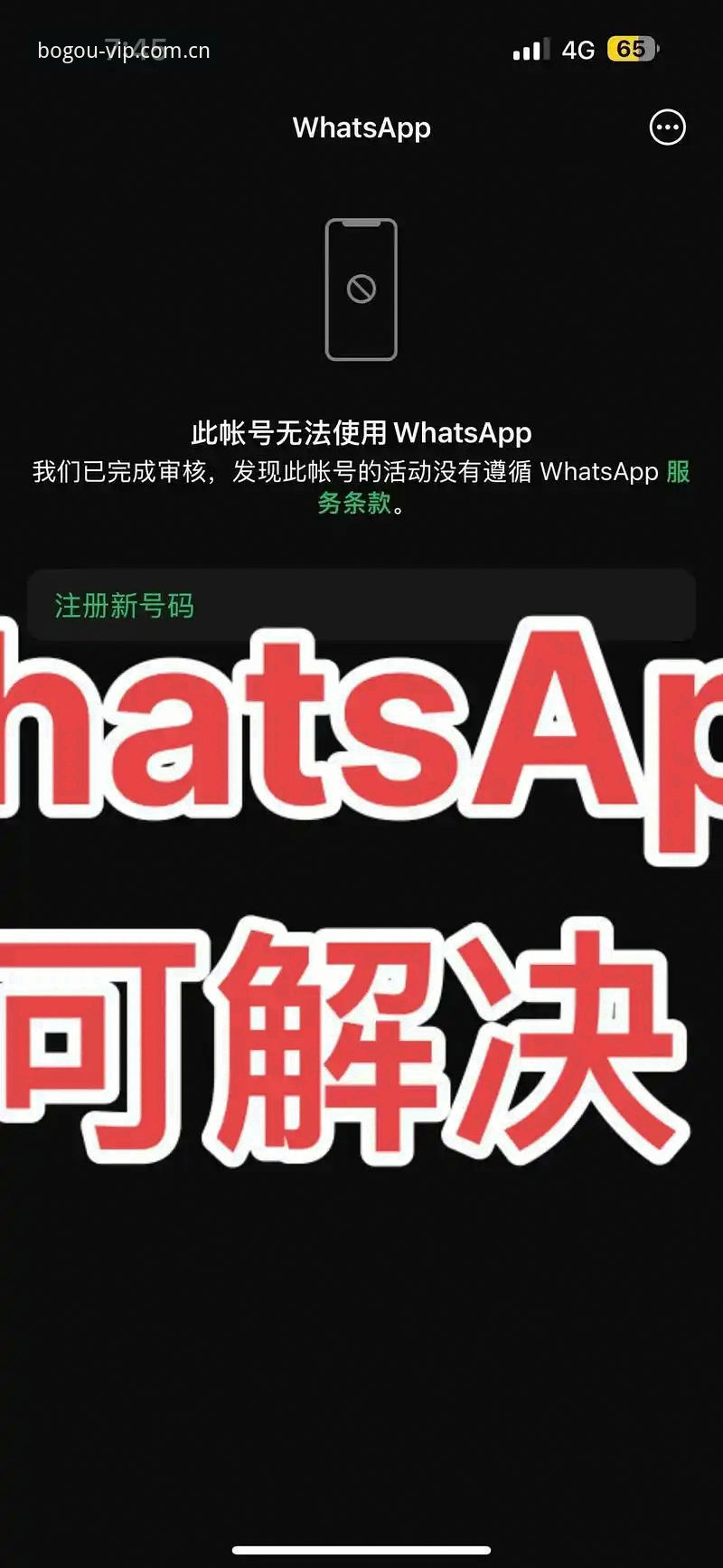 博狗体育APP常见问题 5个博狗体育APP常见问题全解析:从下载到功能升级的实用指南