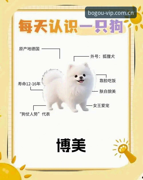 博狗娱乐平台 博狗娱乐平台vs传统线下娱乐:新手如何选择最适合自己的方式?