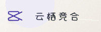 合作伙伴